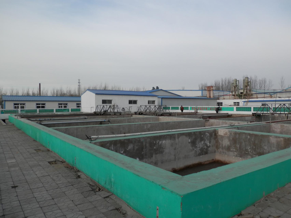 承德市亚欧果仁有限公司1000T/d杏仁脱苦废水处理工程